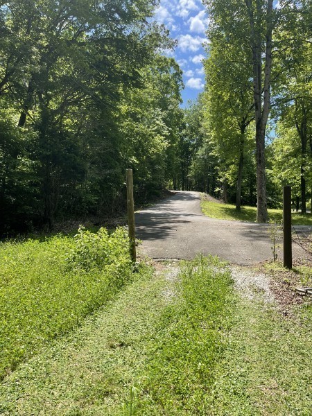 201 Post Road Waverly, TN 37185 - Photo 17 of 43 a view of yard with green space