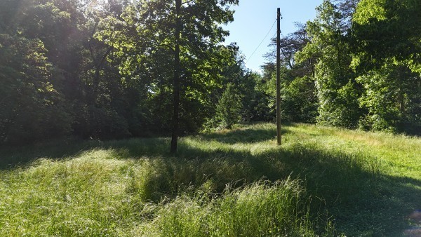 201 Post Road Waverly, TN 37185 - Photo 19 of 43 a view of a garden