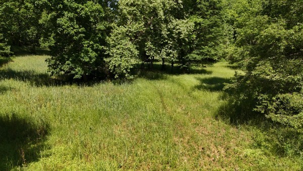 201 Post Road Waverly, TN 37185 - Photo 21 of 43 a view of a lake view