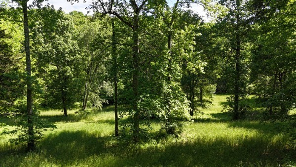 201 Post Road Waverly, TN 37185 - Photo 23 of 43