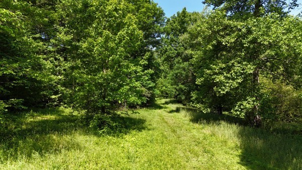 201 Post Road Waverly, TN 37185 - Photo 25 of 43 a view of a lake view