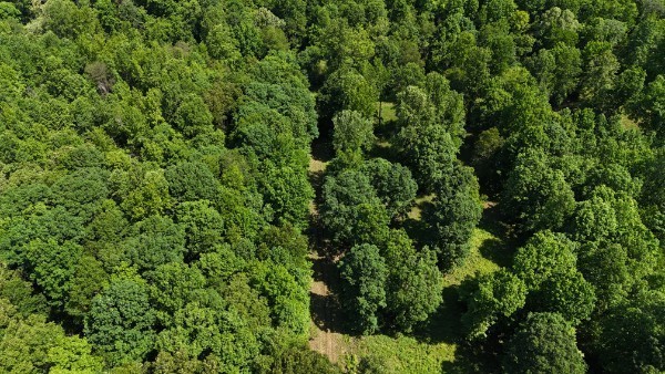 201 Post Road Waverly, TN 37185 - Photo 27 of 43