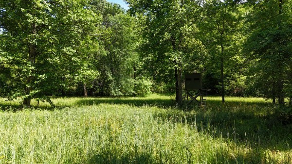 201 Post Road Waverly, TN 37185 - Photo 28 of 43 a backyard of a house with lots of green space and fountain