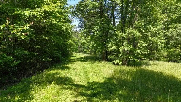 an aerial view of a houses with a yard