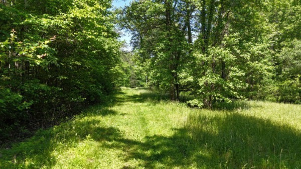 201 Post Road Waverly, TN 37185 - Photo 29 of 43 a view of yard in front of house