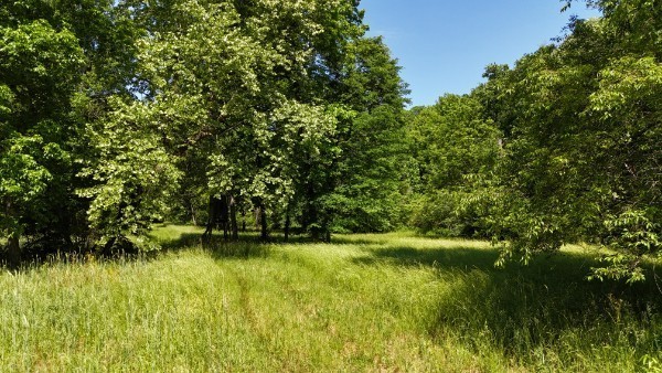 201 Post Road Waverly, TN 37185 - Photo 31 of 43 a view of swimming pool from a yard