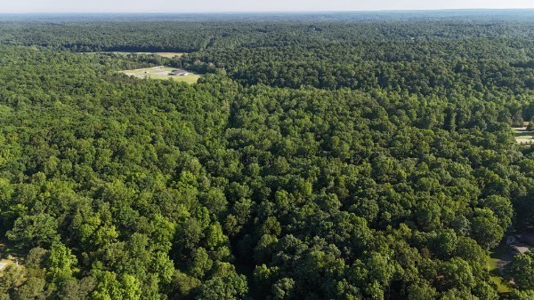 201 Post Road Waverly, TN 37185 - Photo 4 of 43 an aerial view of residential houses with outdoor space and trees