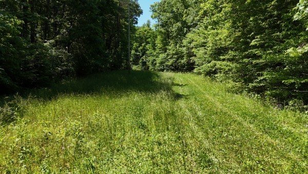 201 Post Road Waverly, TN 37185 - Photo 6 of 43 a view of a lush green outdoor space with a lake view