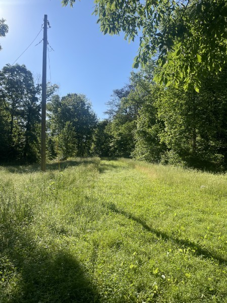201 Post Road Waverly, TN 37185 - Photo 7 of 43 a view of a field with a tree in the background