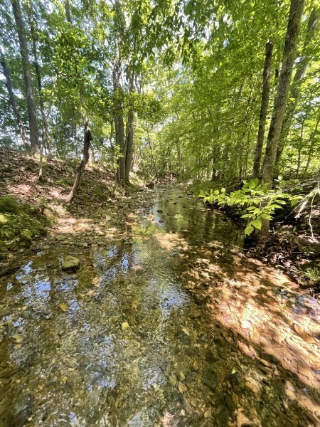 201 Post Road Waverly, TN 37185 - Photo 8 of 43