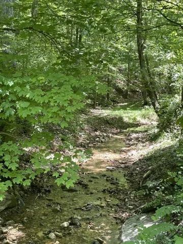 an aerial view of residential house with outdoor space and trees all around