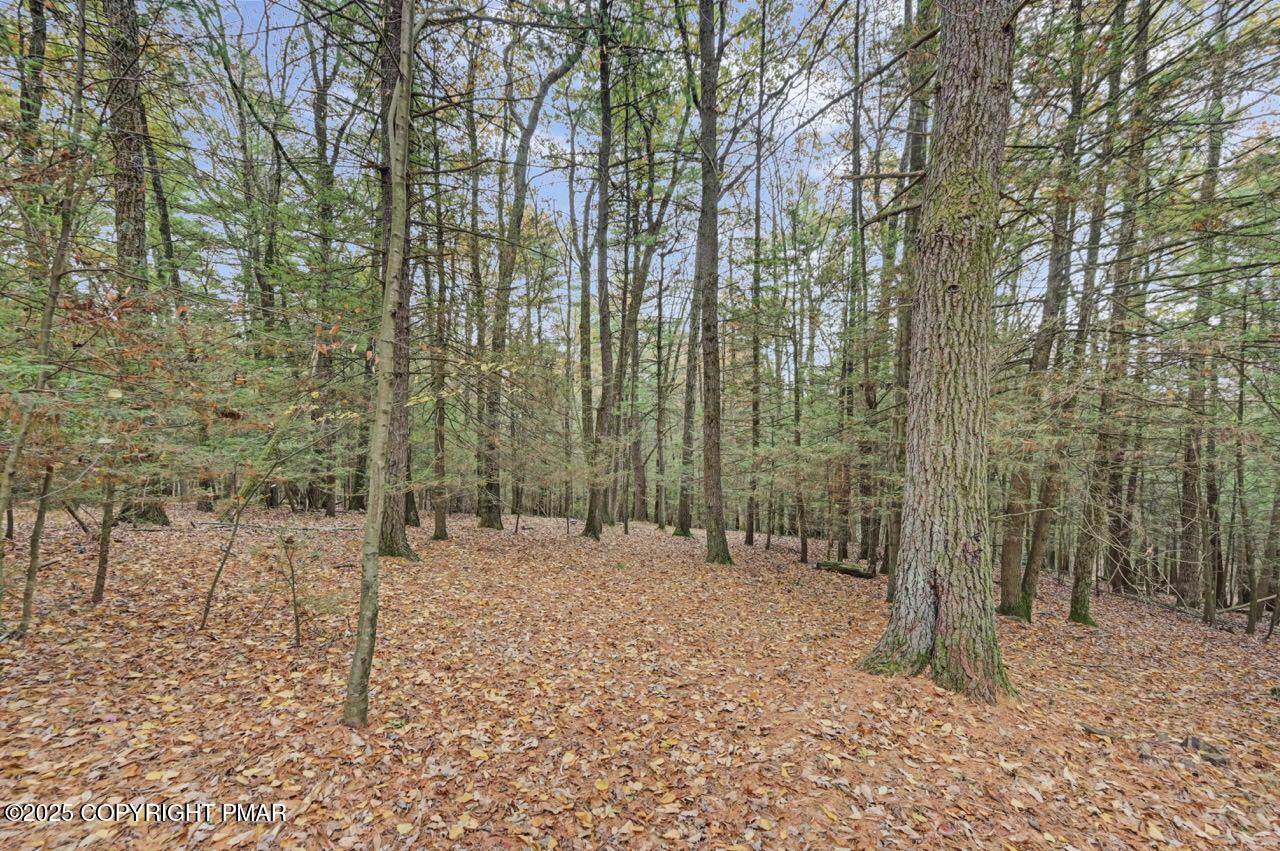 185 Whispering Pine Road Kunkletown, PA 18058 - Photo 54 of 65 a view of a forest with trees in the background
