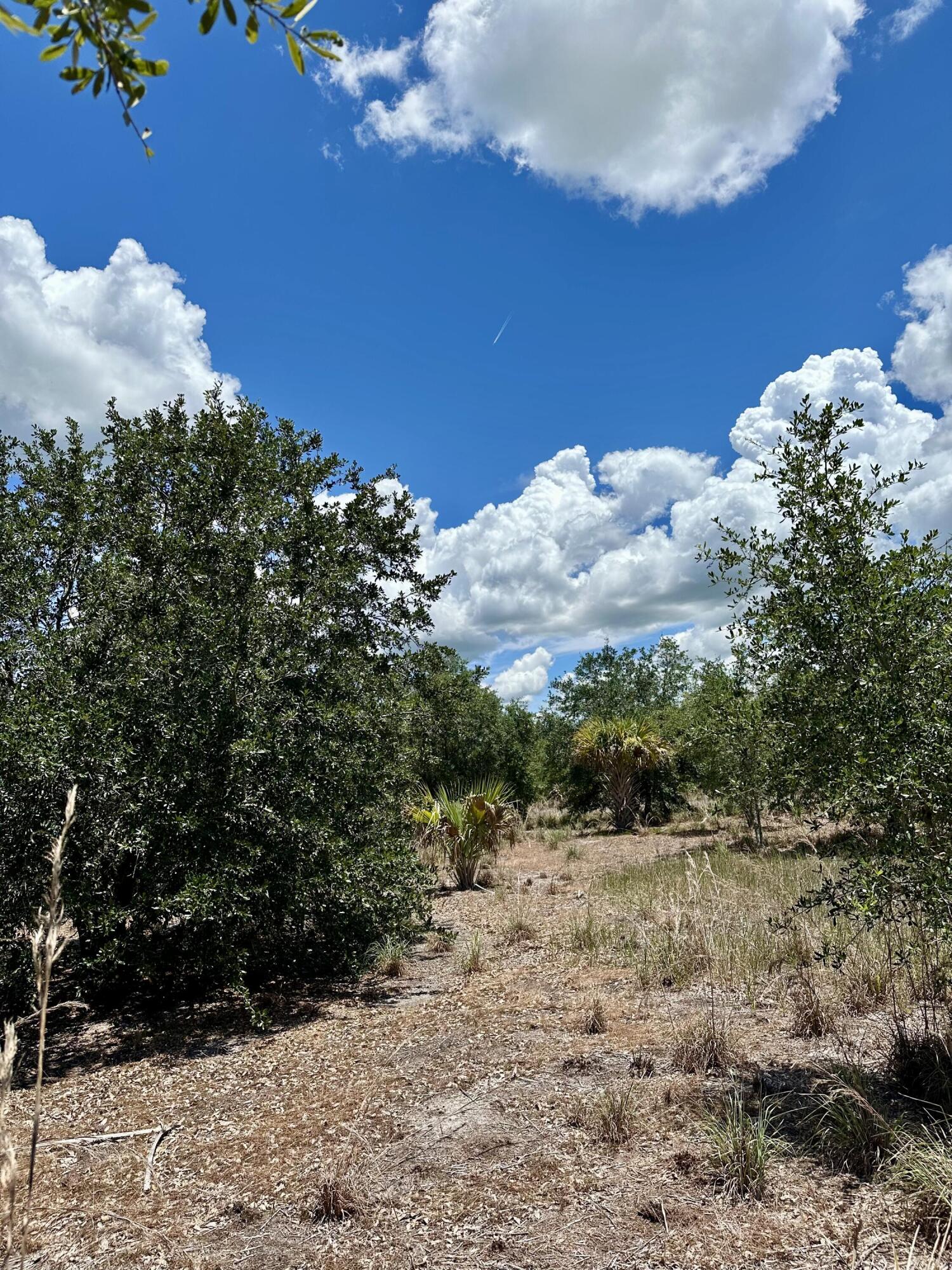 1701 Cabbage Wood Road Okeechobee, FL 34974 - Photo 11 of 16 a view of a yard with wooden fence