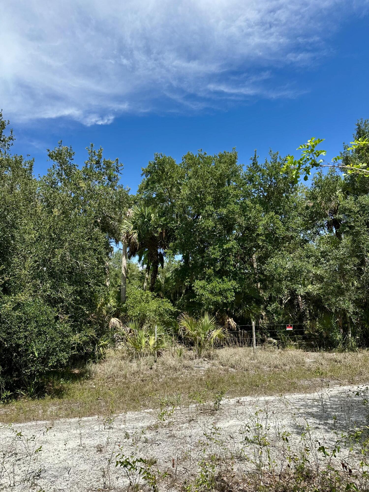 1701 Cabbage Wood Road Okeechobee, FL 34974 - Photo 14 of 16 a view of a yard with a tree