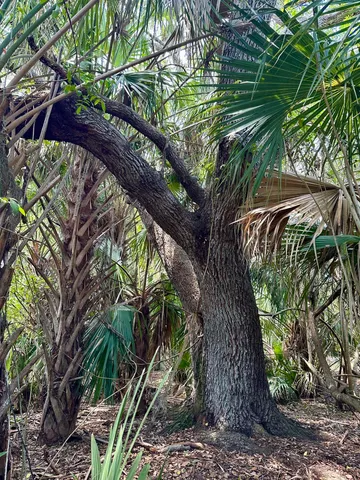 $349,000 | 1701 Cabbage Wood Road, Okeechobee, FL 34974