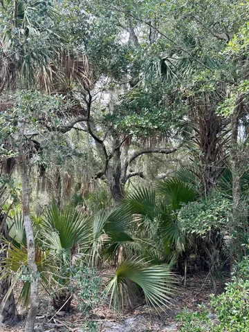 $349,000 | 1701 Cabbage Wood Road, Okeechobee, FL 34974