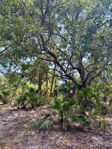 $349,000 | 1701 Cabbage Wood Road, Okeechobee, FL 34974