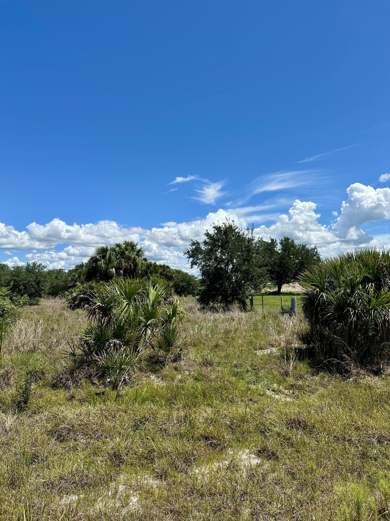 1701 Cabbage Wood Road Okeechobee, FL 34974 - Photo 8 of 16 a view of lake with green space