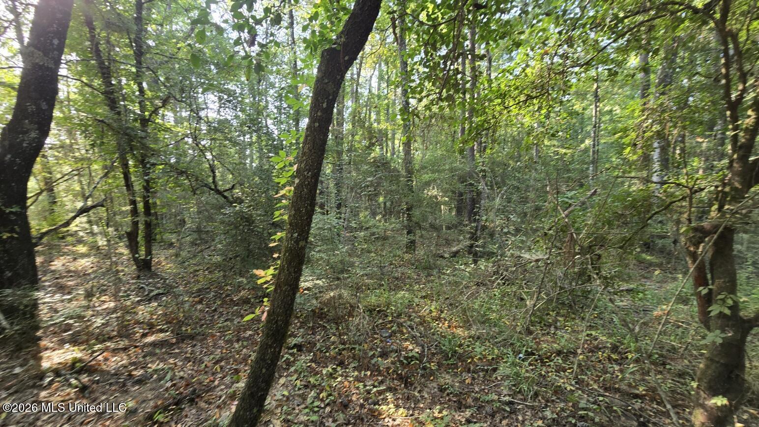 Stump Road Gloster, MS 39638 - Photo 3 of 17 20260729_083524
