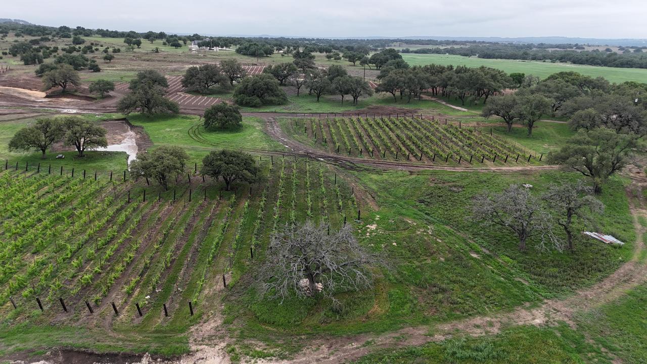 576 Young Ranch Road, Unit 8 Johnson City, TX 78636 - Photo 12 of 15 a view of a lush green field