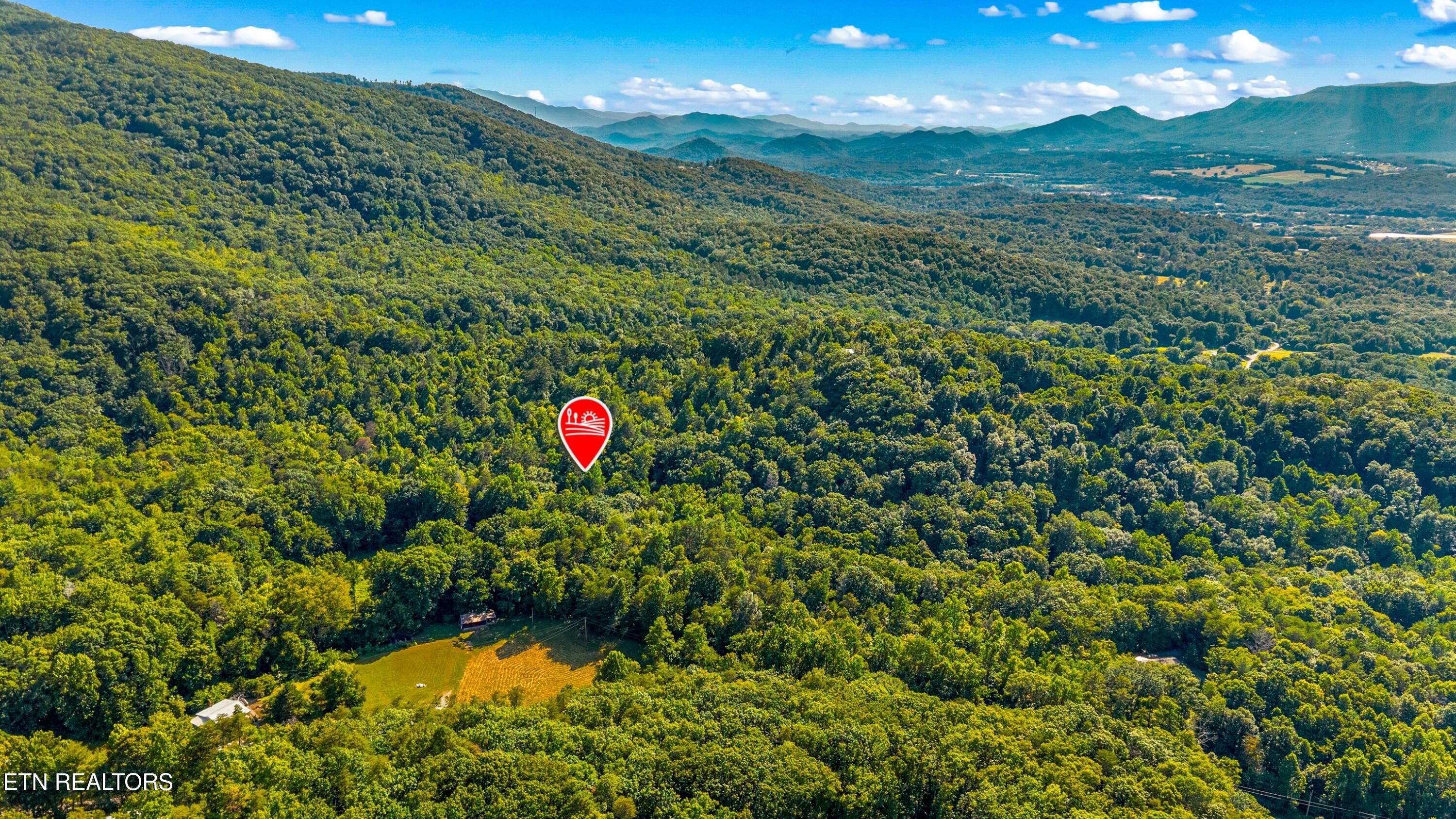 1549 Halls Top Road Newport, TN 37821 - Photo 4 of 9 002-1549HallsTopRd-Newport-TN-37821-SMAL
