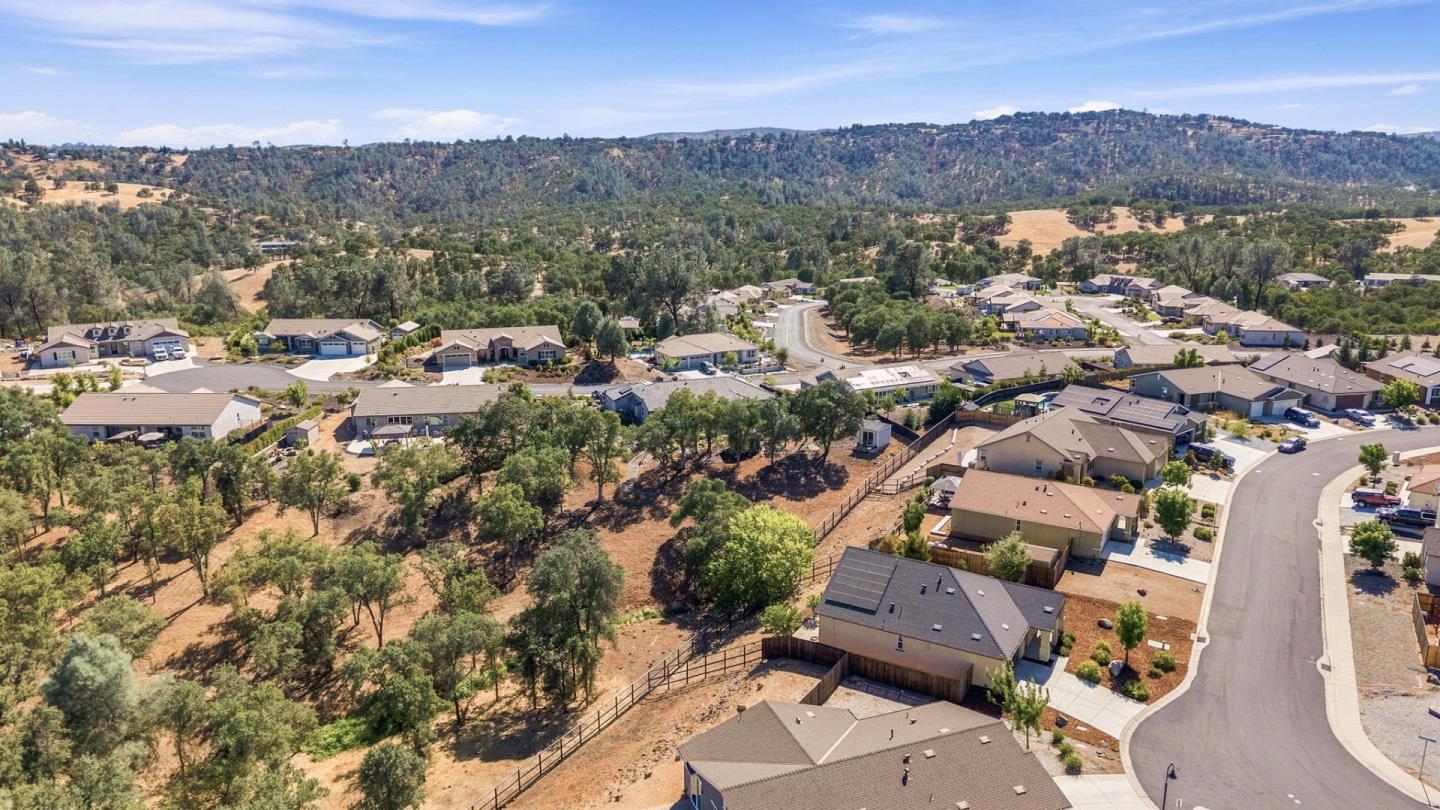 216 Raccoon Hollow Loop Copperopolis, CA 95228 - Photo 44 of 46