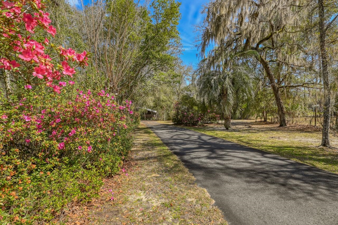 397 Southeast County Road 18A Starke, FL 32091 - Photo 2 of 77