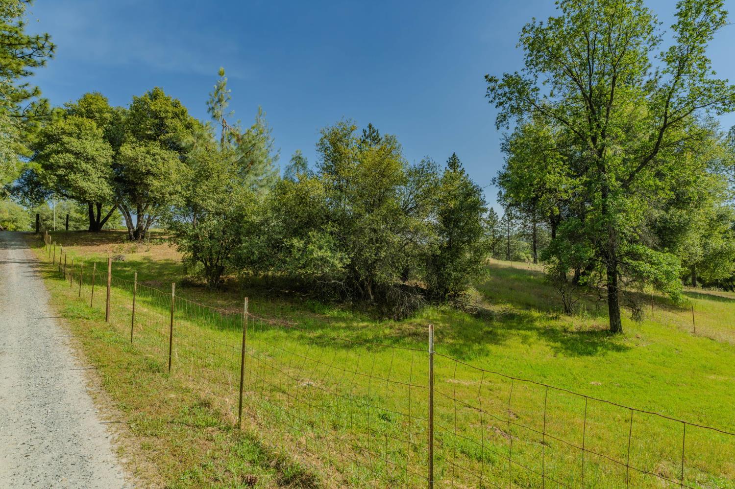 6216 Trout Lane Mountain Ranch, CA 95246 - Photo 17 of 39 a view of yard from a lake