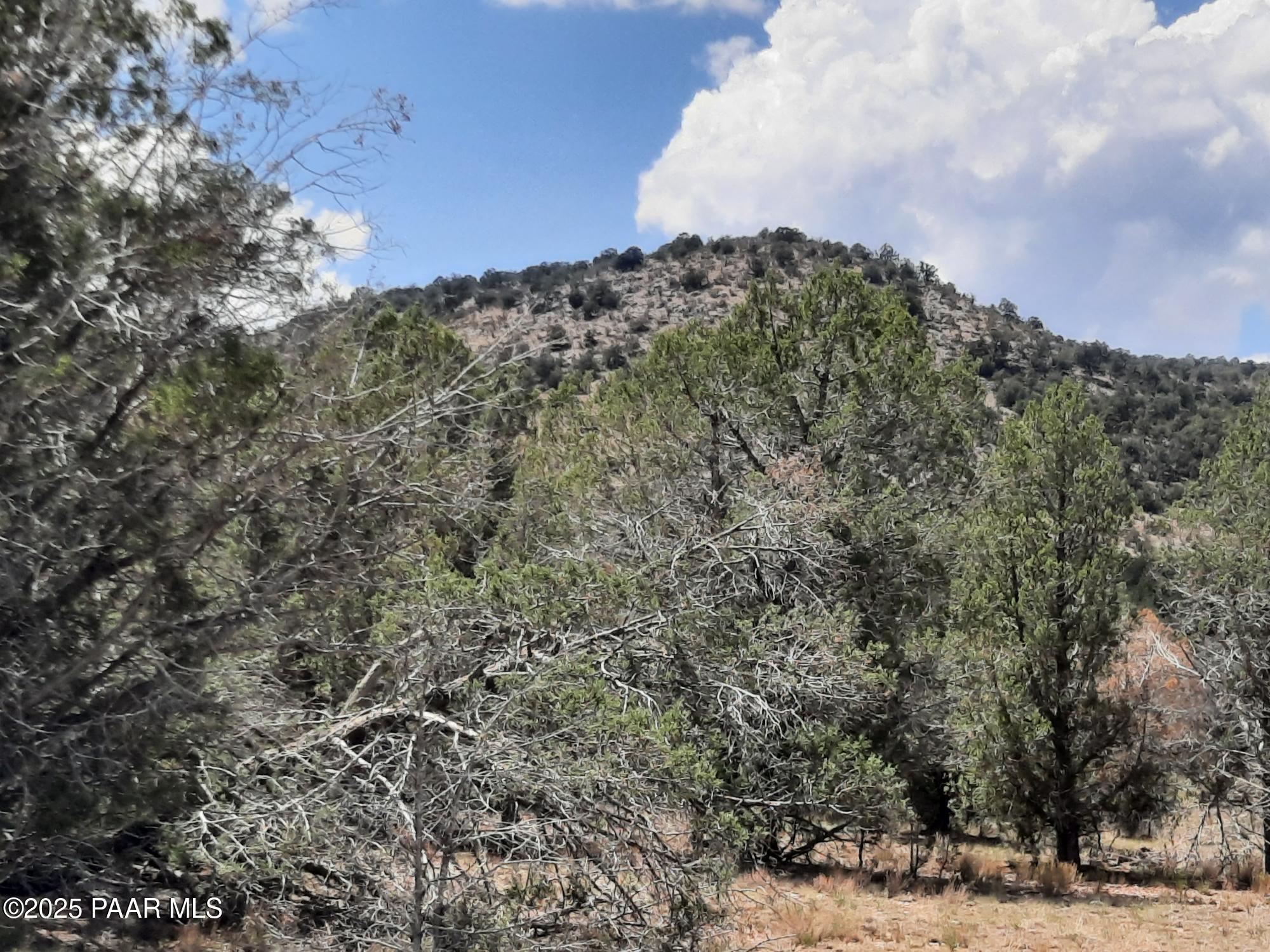 342 Dragons Nest Road Seligman, AZ 86337 - Photo 1 of 14 cover