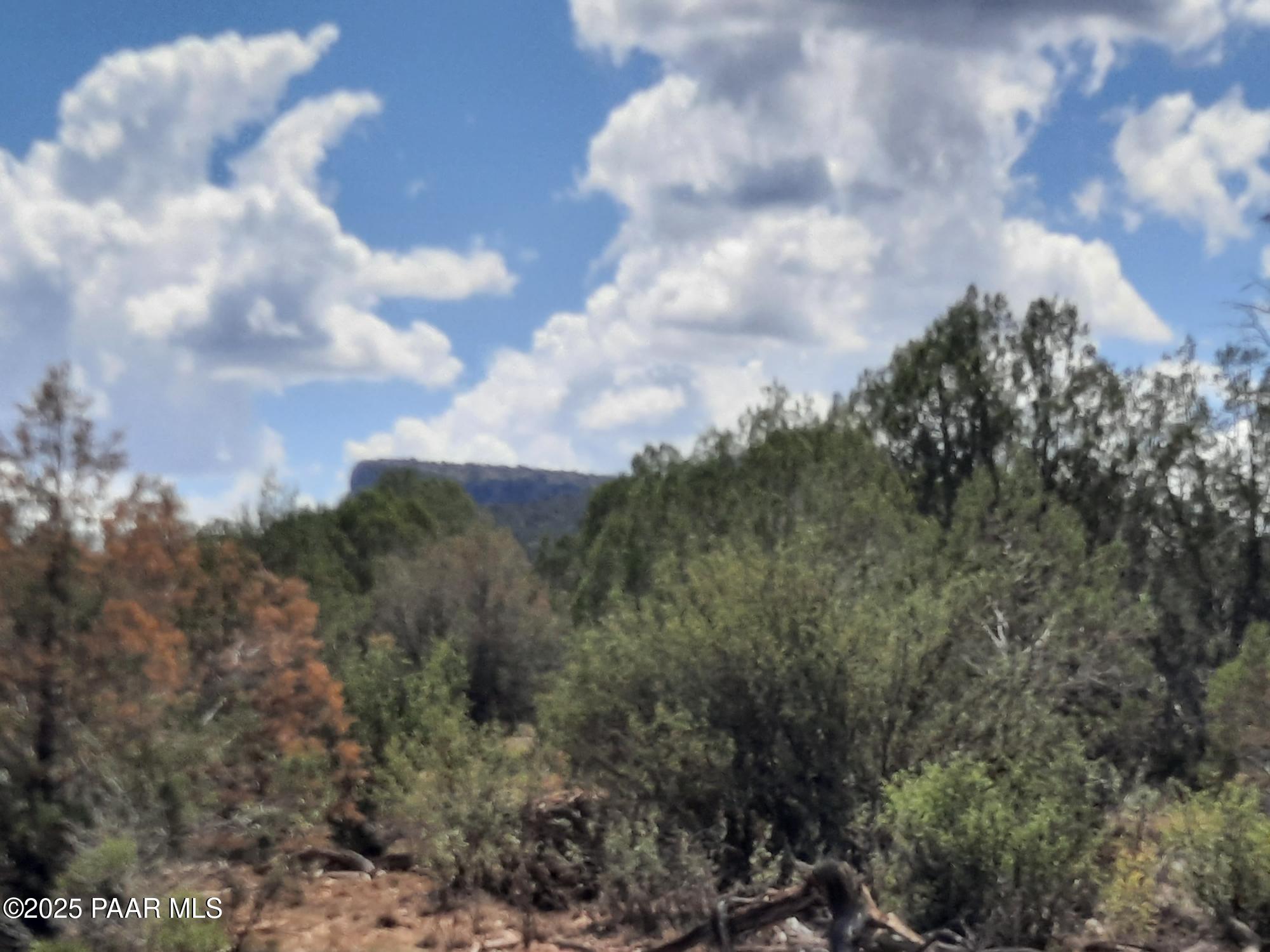 342 Dragons Nest Road Seligman, AZ 86337 - Photo 12 of 14 20250718_142443