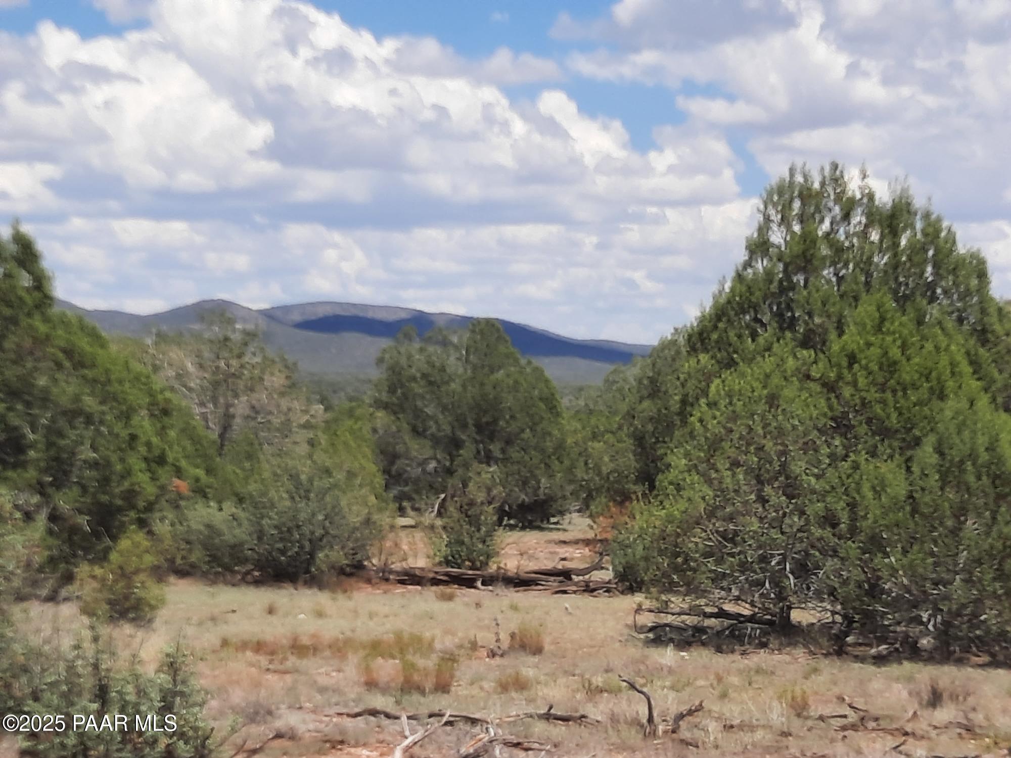 342 Dragons Nest Road Seligman, AZ 86337 - Photo 13 of 14 20250718_142452
