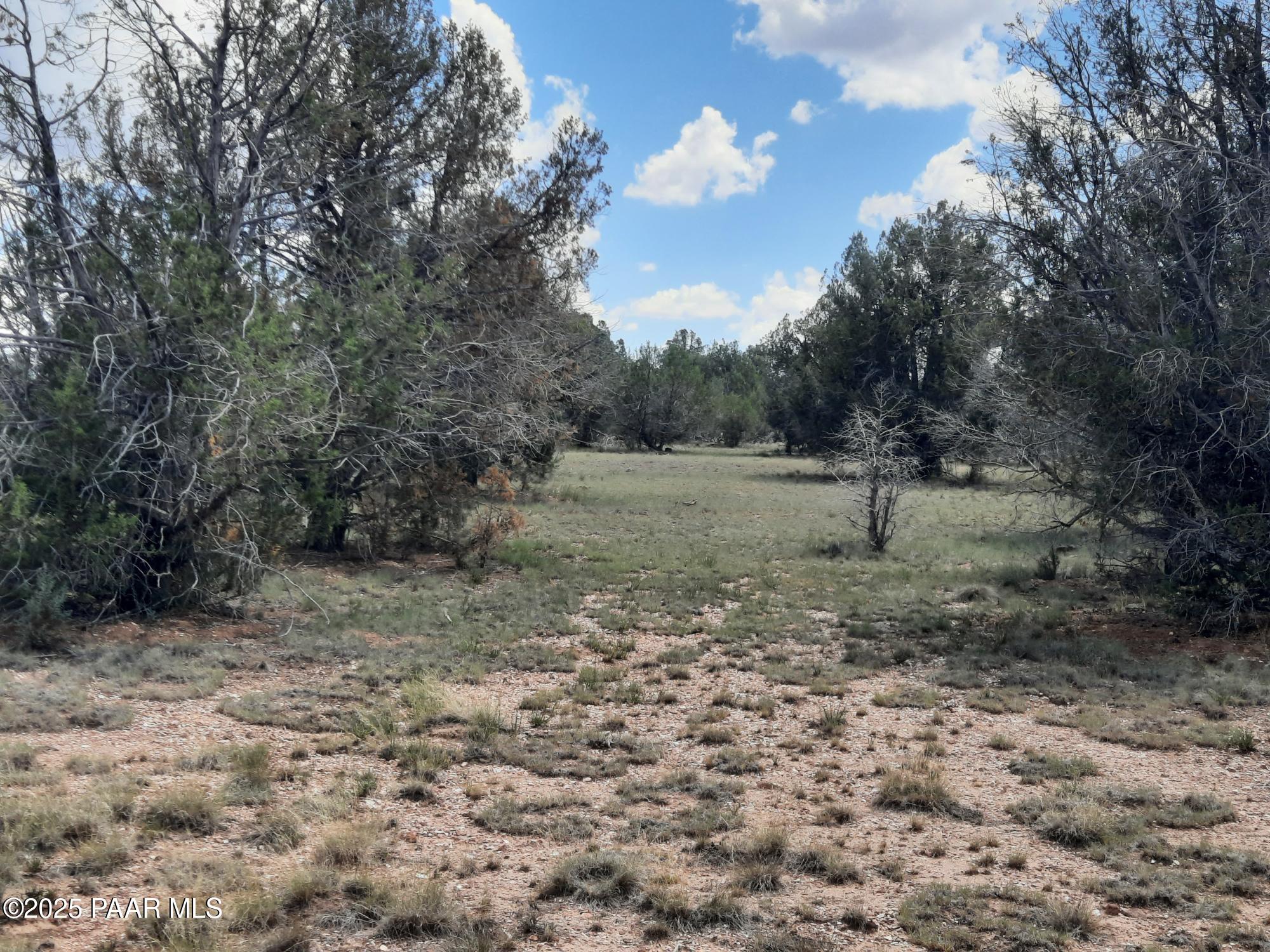 342 Dragons Nest Road Seligman, AZ 86337 - Photo 2 of 14 20250718_142106