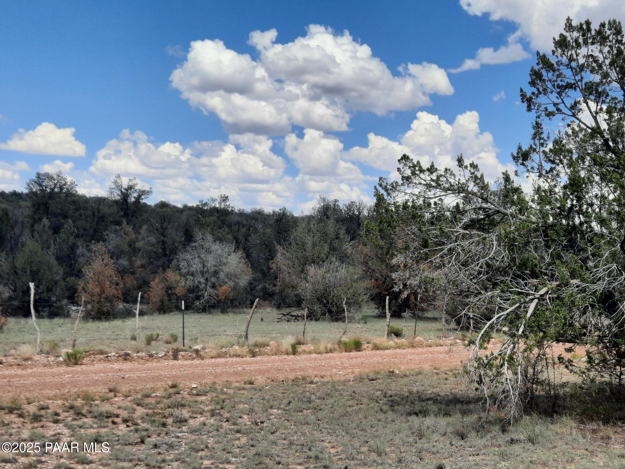 342 Dragons Nest Road Seligman, AZ 86337 - Photo 3 of 14 20250718_142111