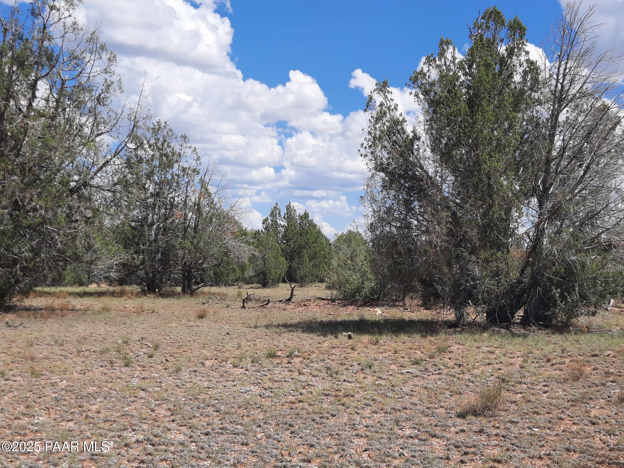 342 Dragons Nest Road Seligman, AZ 86337 - Photo 4 of 14 20250718_142207