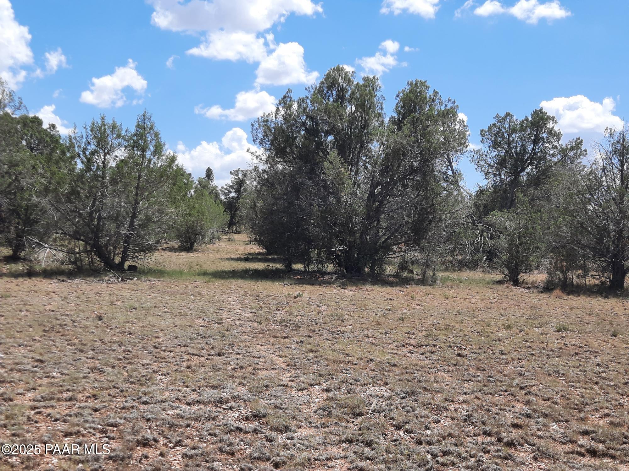 342 Dragons Nest Road Seligman, AZ 86337 - Photo 5 of 14 20250718_142214