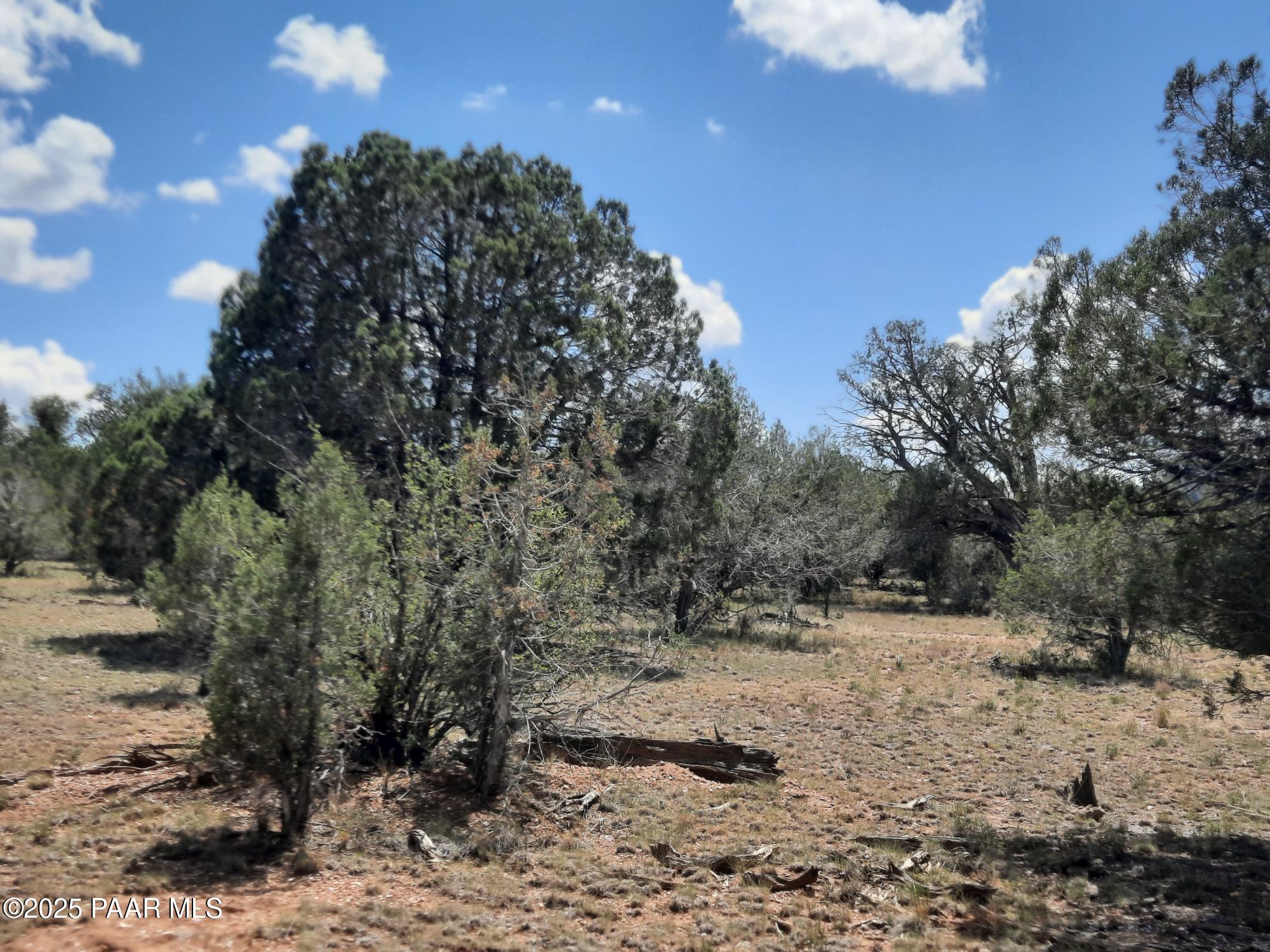 342 Dragons Nest Road Seligman, AZ 86337 - Photo 7 of 14 20250718_142305