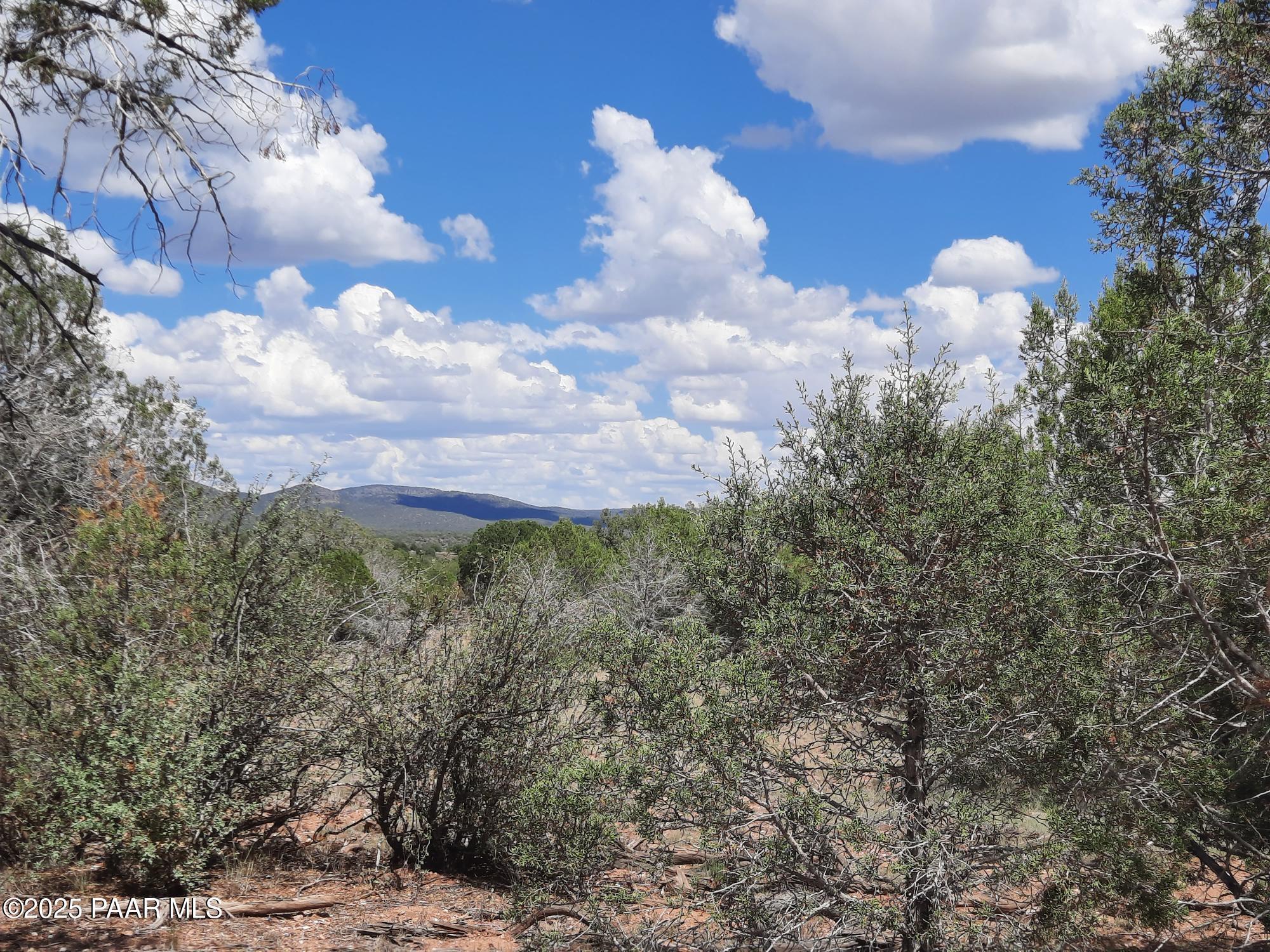 342 Dragons Nest Road Seligman, AZ 86337 - Photo 8 of 14 20250718_142312
