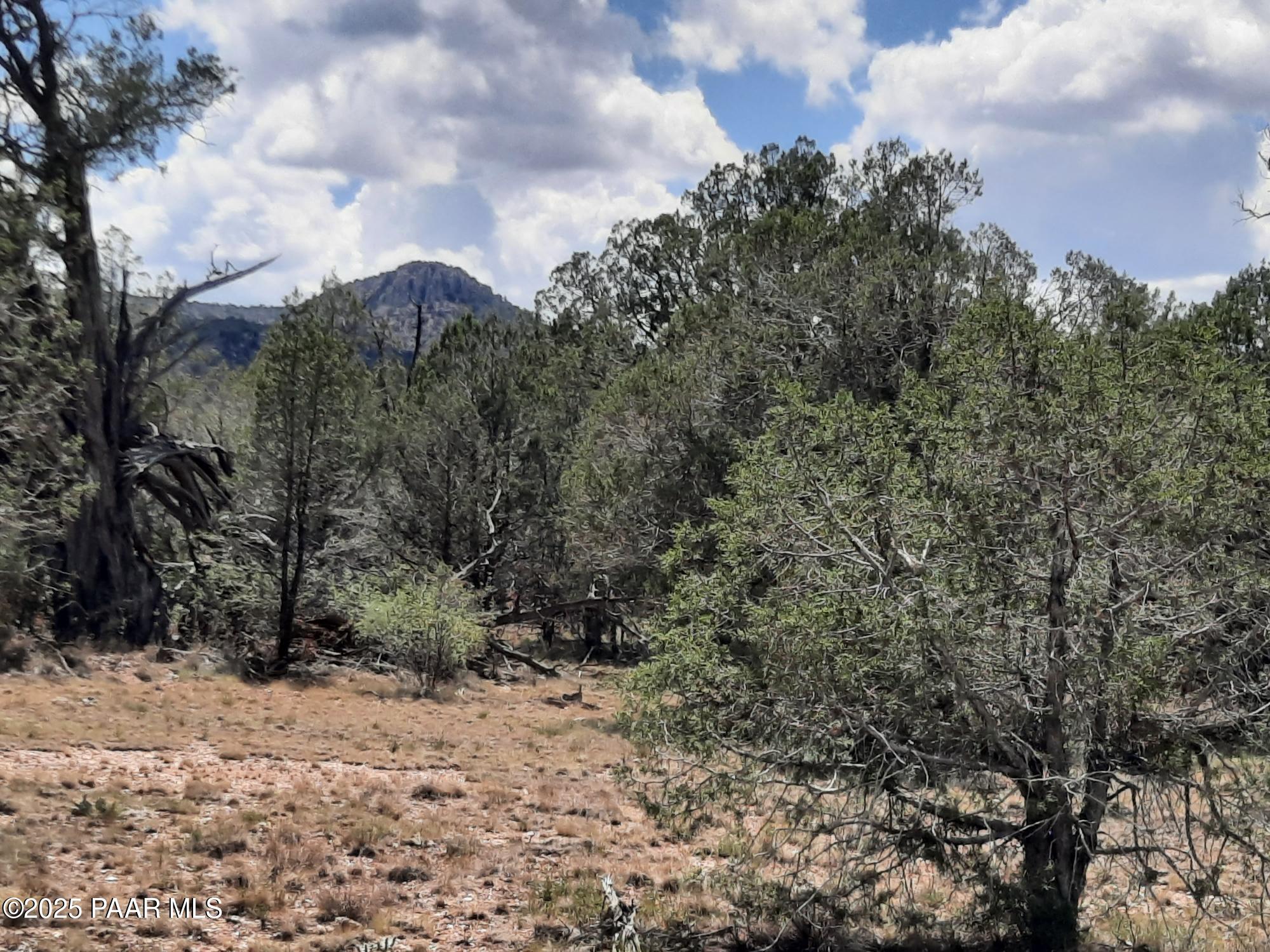 342 Dragons Nest Road Seligman, AZ 86337 - Photo 10 of 14 20250718_142351