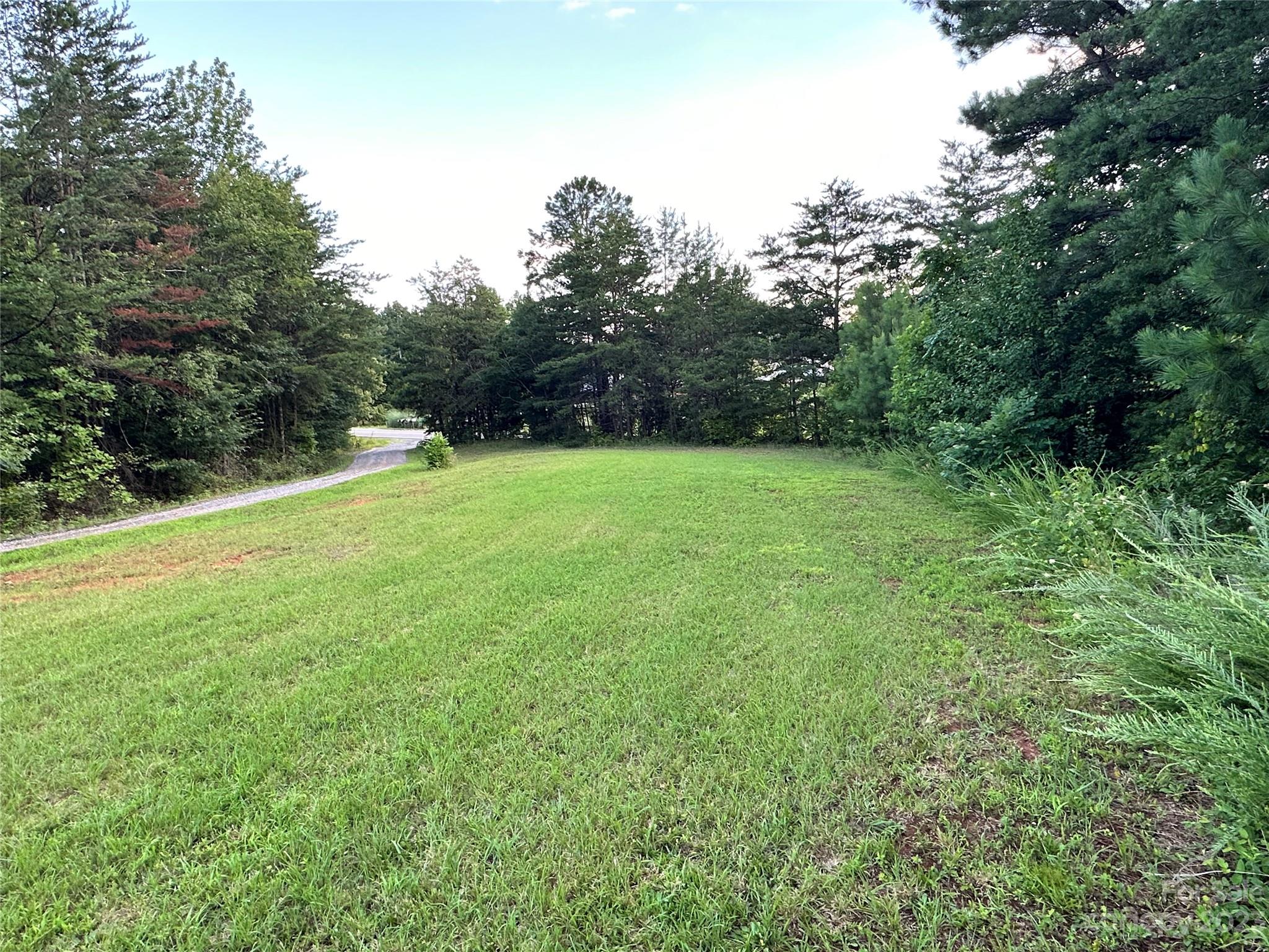 a view of a field of grass and trees