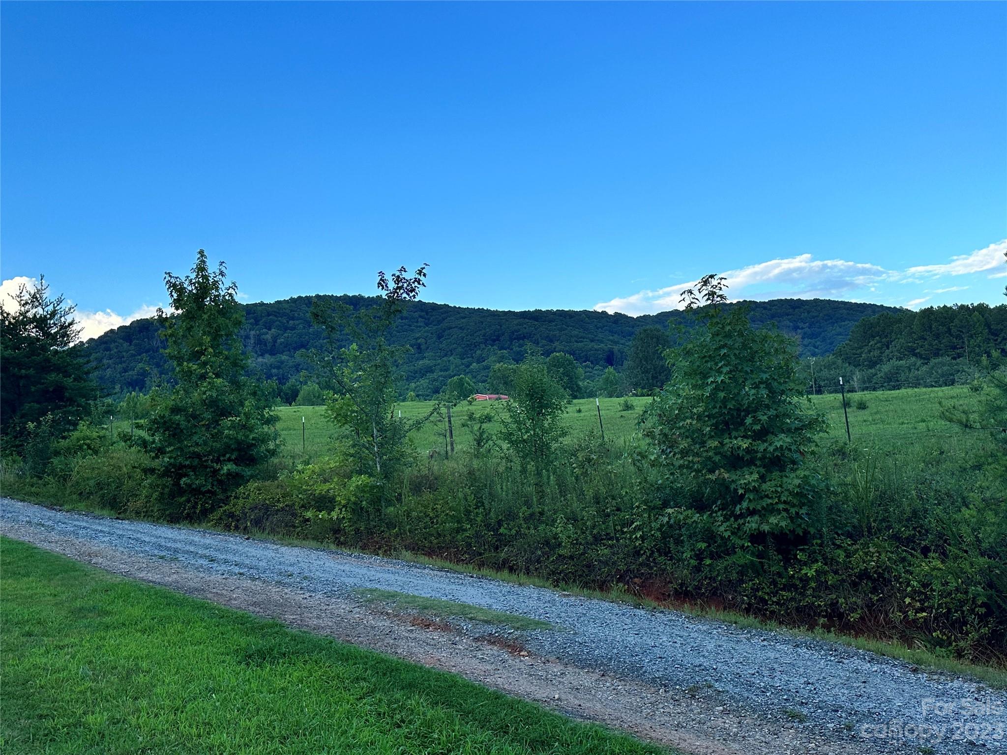 0 South Mountain Road Bostic, NC 28018 - Photo 12 of 12 a view of a lush green field