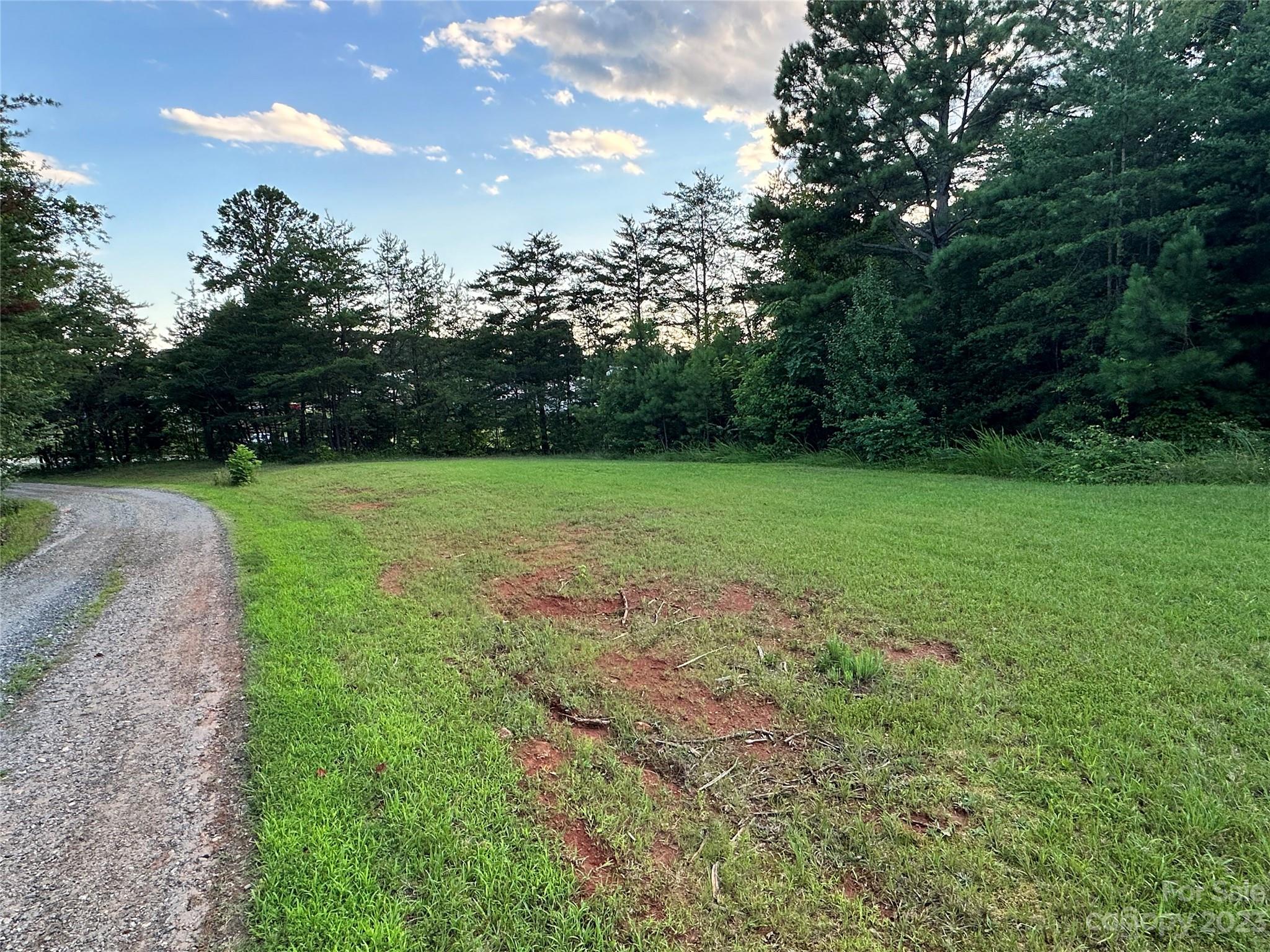 0 South Mountain Road Bostic, NC 28018 - Photo 2 of 12 a view of a field of grass and trees