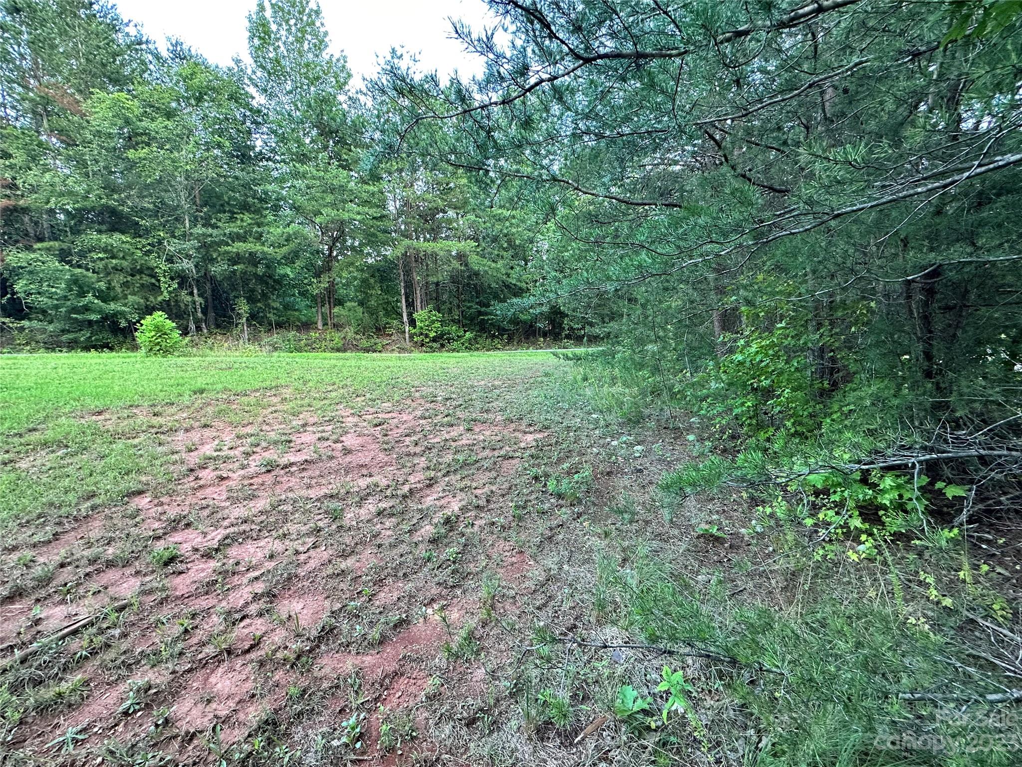 0 South Mountain Road Bostic, NC 28018 - Photo 6 of 12 a view of outdoor space and yard