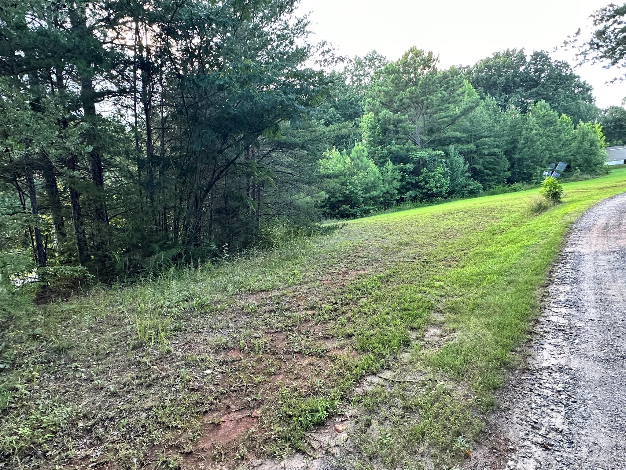 0 South Mountain Road Bostic, NC 28018 - Photo 8 of 12 a view of a yard with a trees