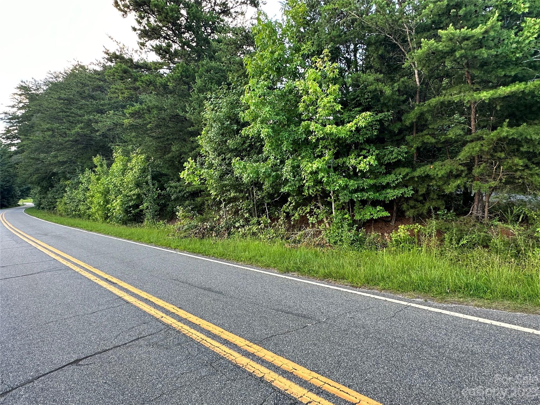 0 South Mountain Road Bostic, NC 28018 - Photo 10 of 12 a view of a yard