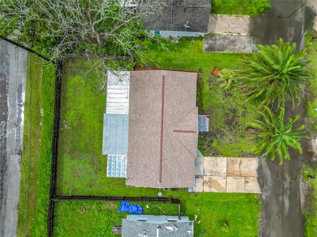 6632 Sierra Terrace New Port Richey, FL 34652 - Photo 39 of 49 a view of a yard with plants and a large tree