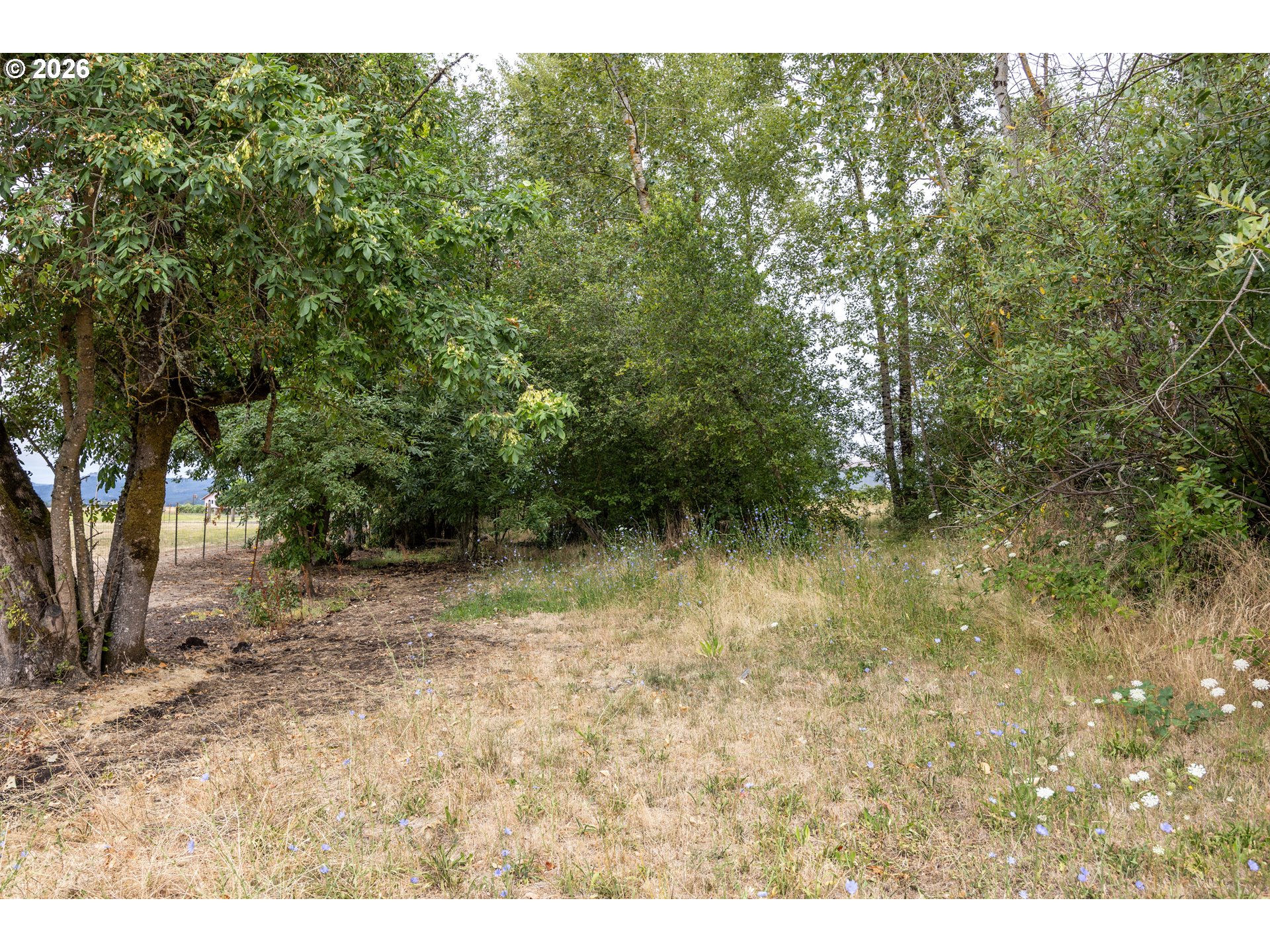 28624 Cox Butte Road Junction City, OR 97448 - Photo 26 of 38 Gallery Image 26