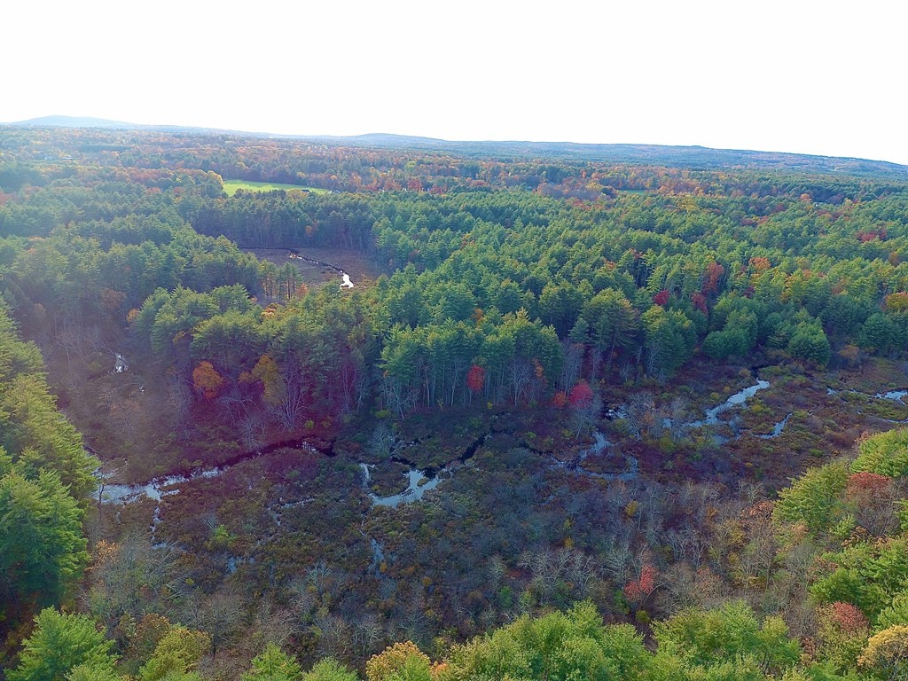 396 Michael Sears Road Belchertown, MA 01007 - Photo 41 of 42 Gallery Image 41