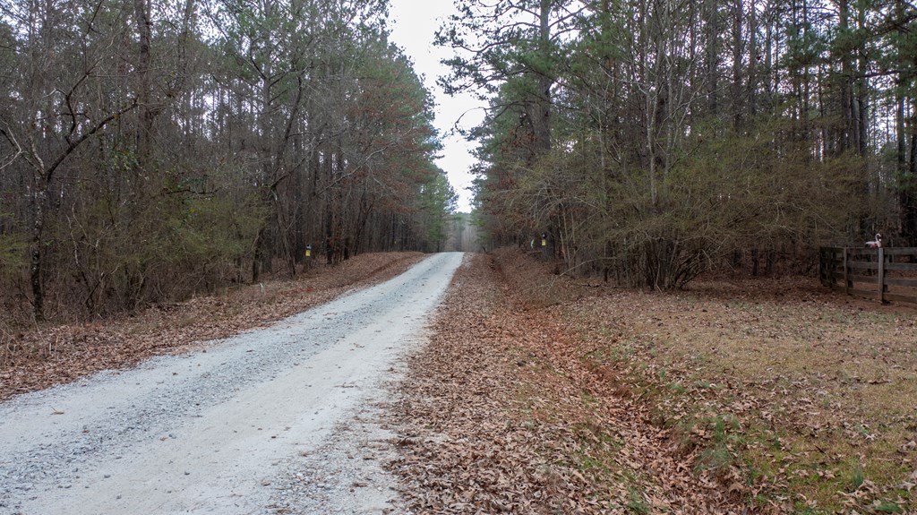 1165 Malcom Road Gay, GA 30218 - Photo 48 of 58