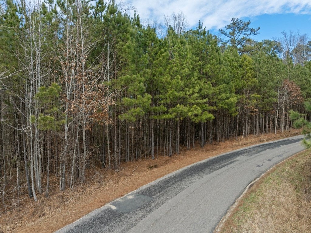 The Grove Road Blackstone, VA 23824 - Photo 15 of 17 Gallery Image 15