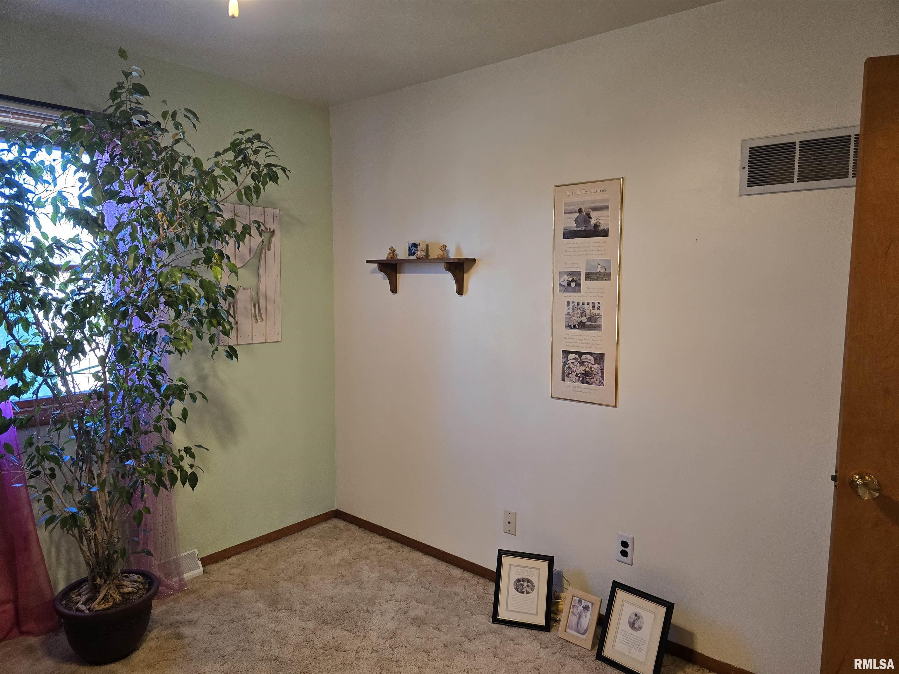 1410 East Locust Street Canton, IL 61520 - Photo 23 of 57